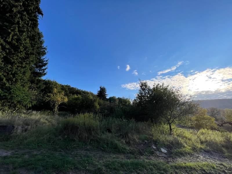 Zahrada_pozemok_rekreacny_dom_chata_les_priroda_projekt_bratislava_dubravka_brizite_velka_luka_babonytre_richardpastucha