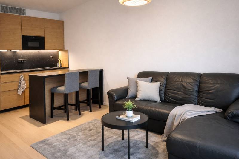 BabonyTRE_Prenajom-2izbovy_byt_SKY PARK_Stare_Mesto.jpeg