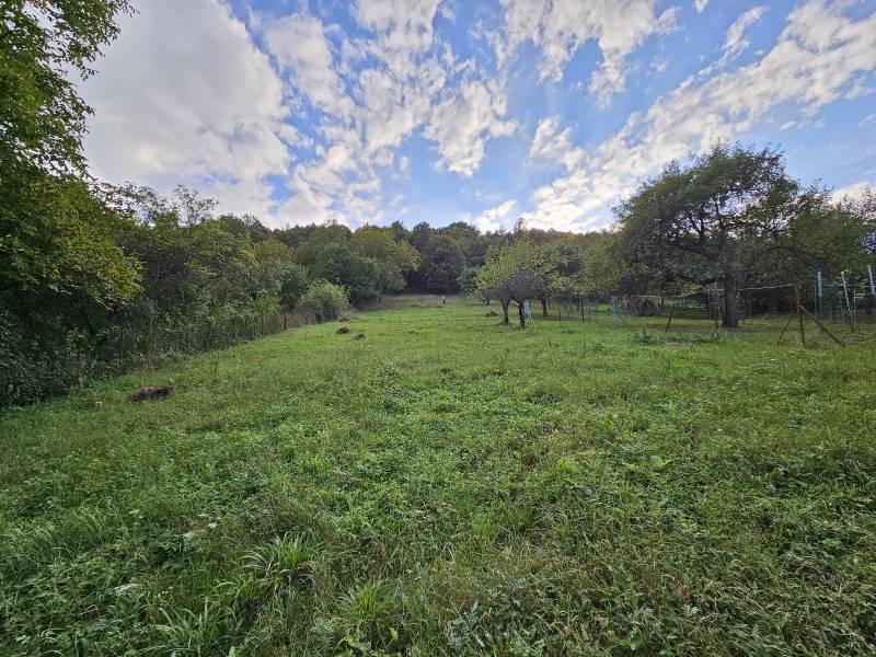 BabonyTRE_Predaj pozemok s domom Nitrianske Sucany_rozlahly pozemok pod lesom.jpeg