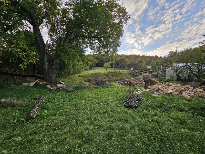 Pozemok_zbúraná stodola_krasna rovna plocha_150rocny_orech.jpeg