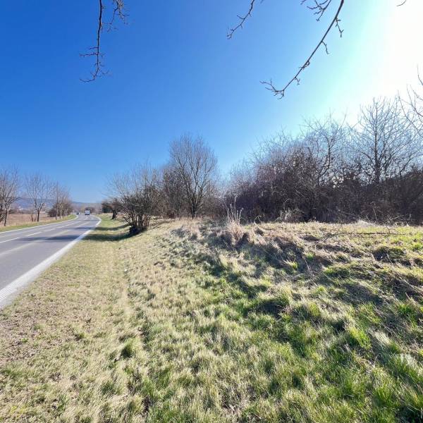 WhatsApp Image 2026-03-31 at 13.55.44.jpeg