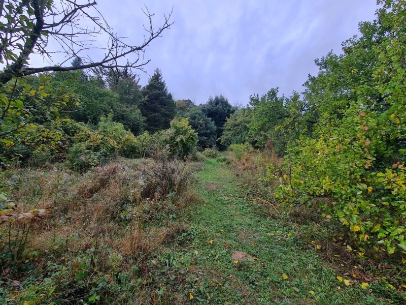 20231010_111538.jpg
