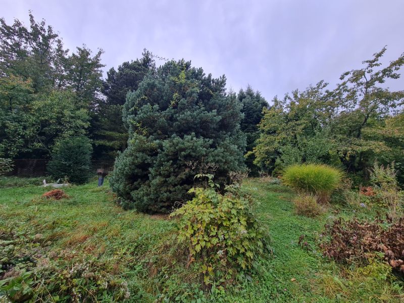 20231010_111645.jpg