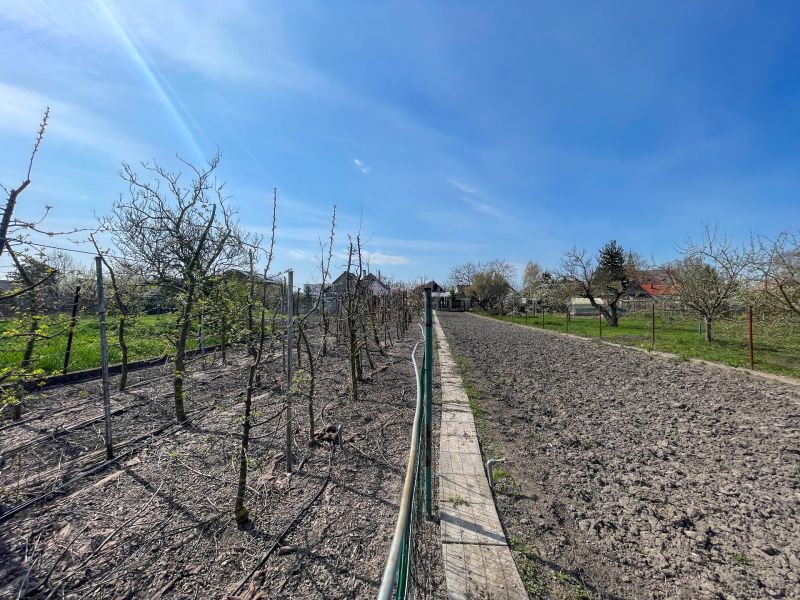 Babonytre_investicia_pozemok_vidiecky_rodinny_dom_velka_pana_dunajska_streda