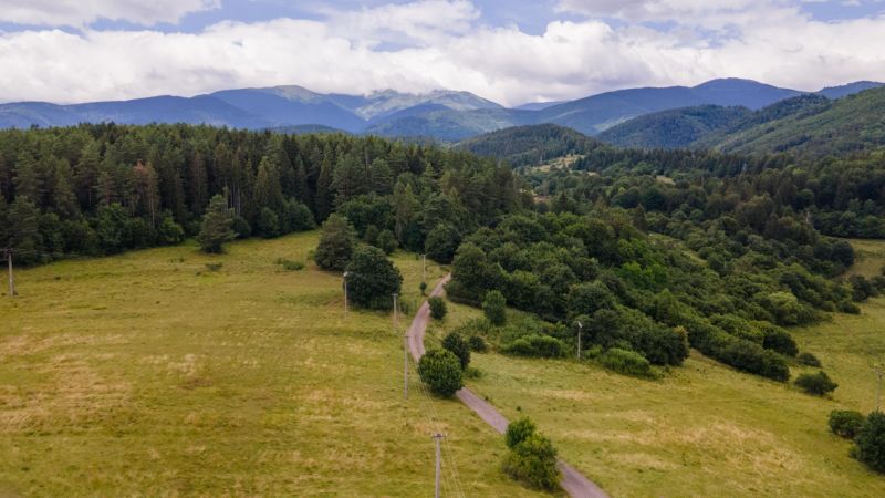 DJI_0919.jpg