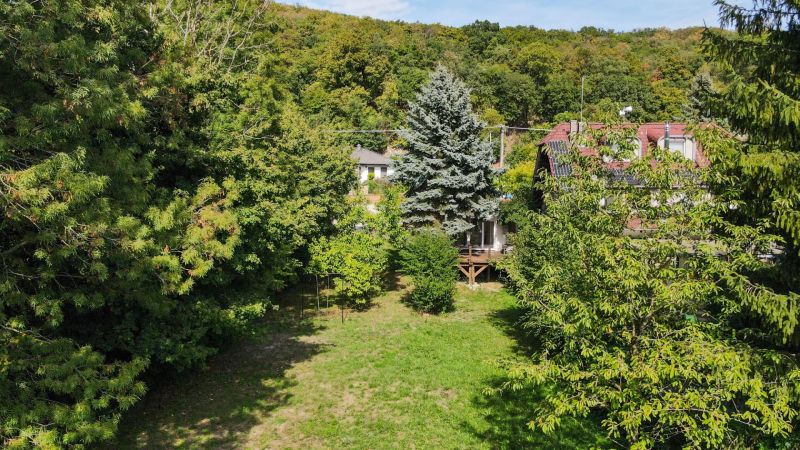 Zeleň a domy obklopené stromami v rekreačnej oblasti Bratislava - Devín, Devínska cesta.
